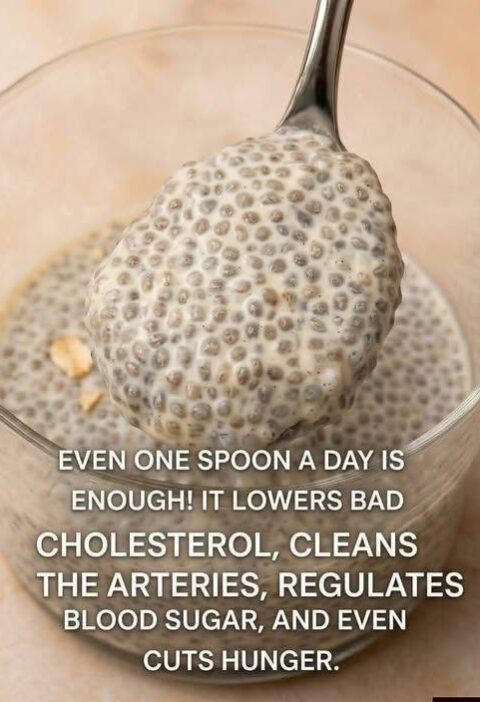 I've been eating this for breakfast for a month and now all my clothes are too big! A simple and quick breakfast for a slimmer waist, sugar-free